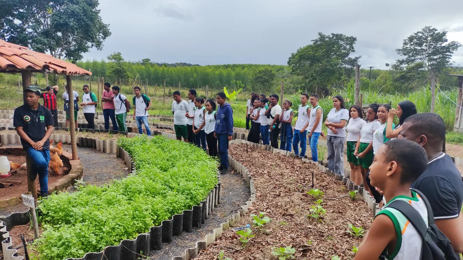 Aprender fazendo, transformar o território